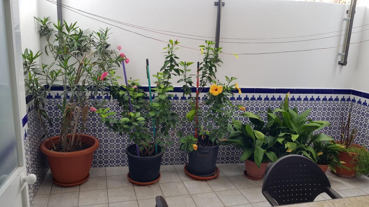 Apartamento Callejuela Las Flores Algodonales Buitenkant foto